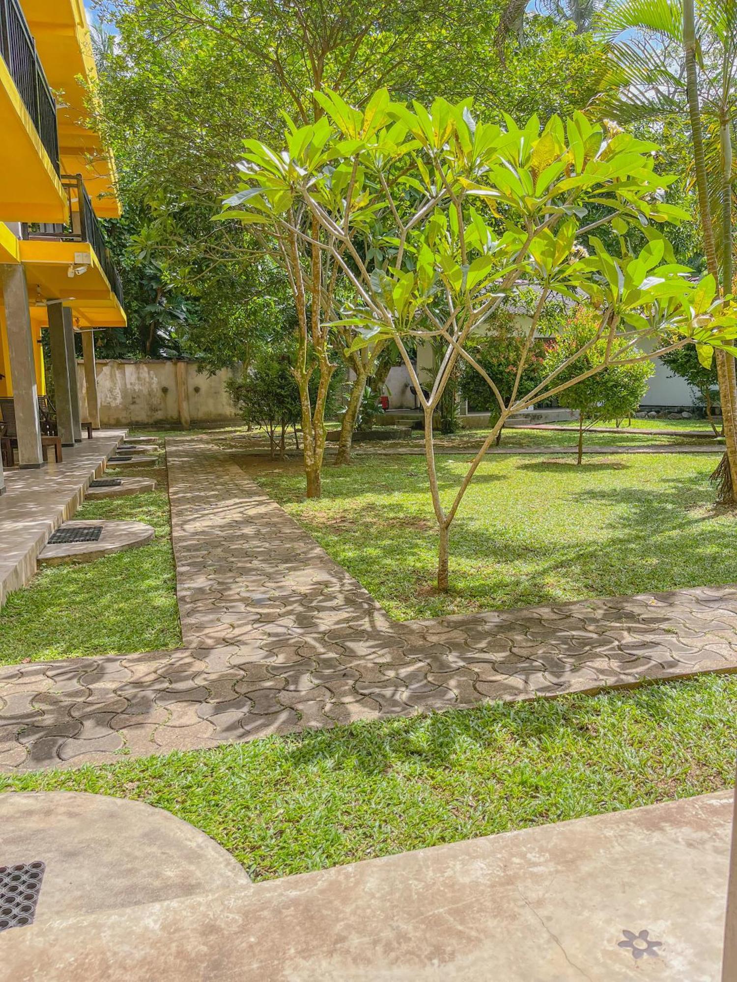 Easy Living Hotel ฮิกคาดูวา ภายนอก รูปภาพ